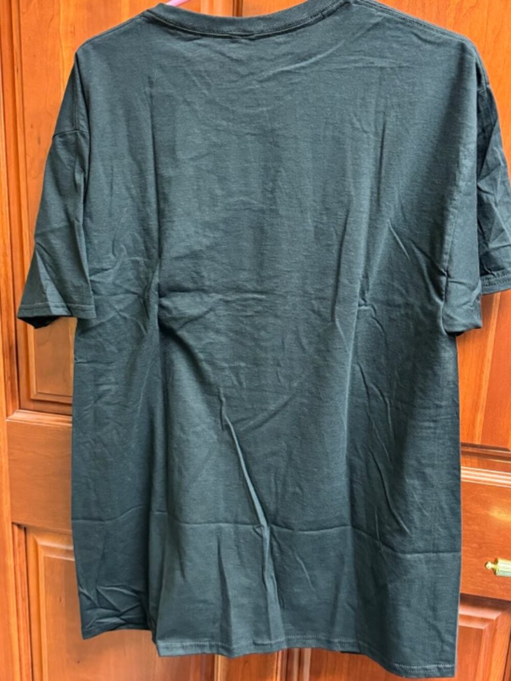 New! Cat with Pizza T-Shirt, Size L - Picture 2 of 3